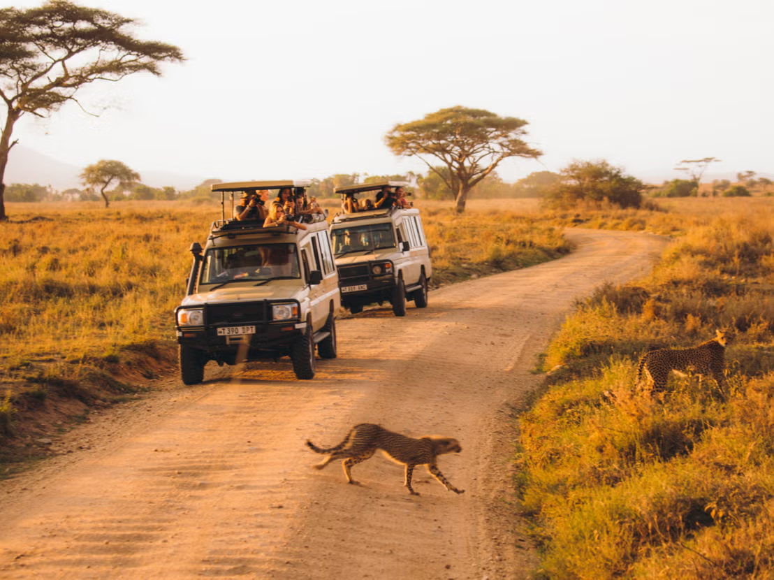 Understanding daily life, traditions, and values that have shaped the Maasai community for generations.